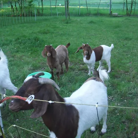 Ackermann Casa de hóspedes