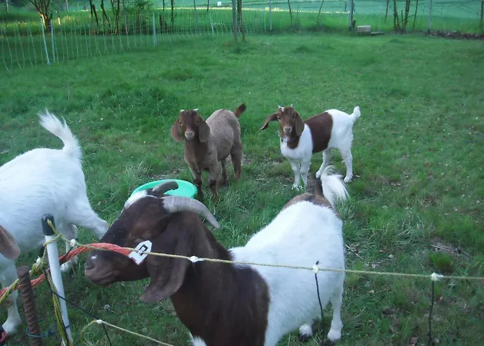 Ackermann בית הארחה